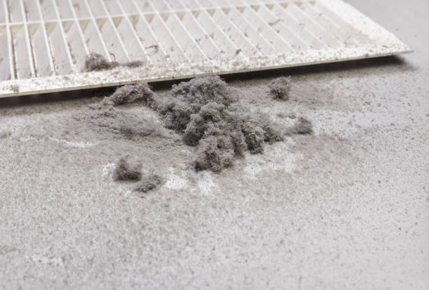 Best Residential Air Duct Cleaning  in Las Cruces, NM